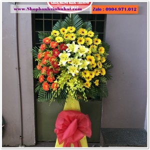Hoa Tươi Tặng Khai Trương - OK91